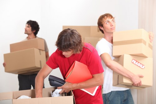 Team handling household items with care during a van move